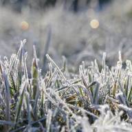 Navigating The Seasons